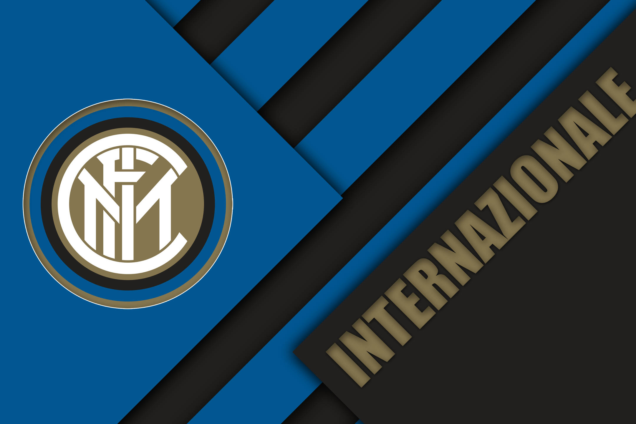 虹膜识别技术防止身份伪造